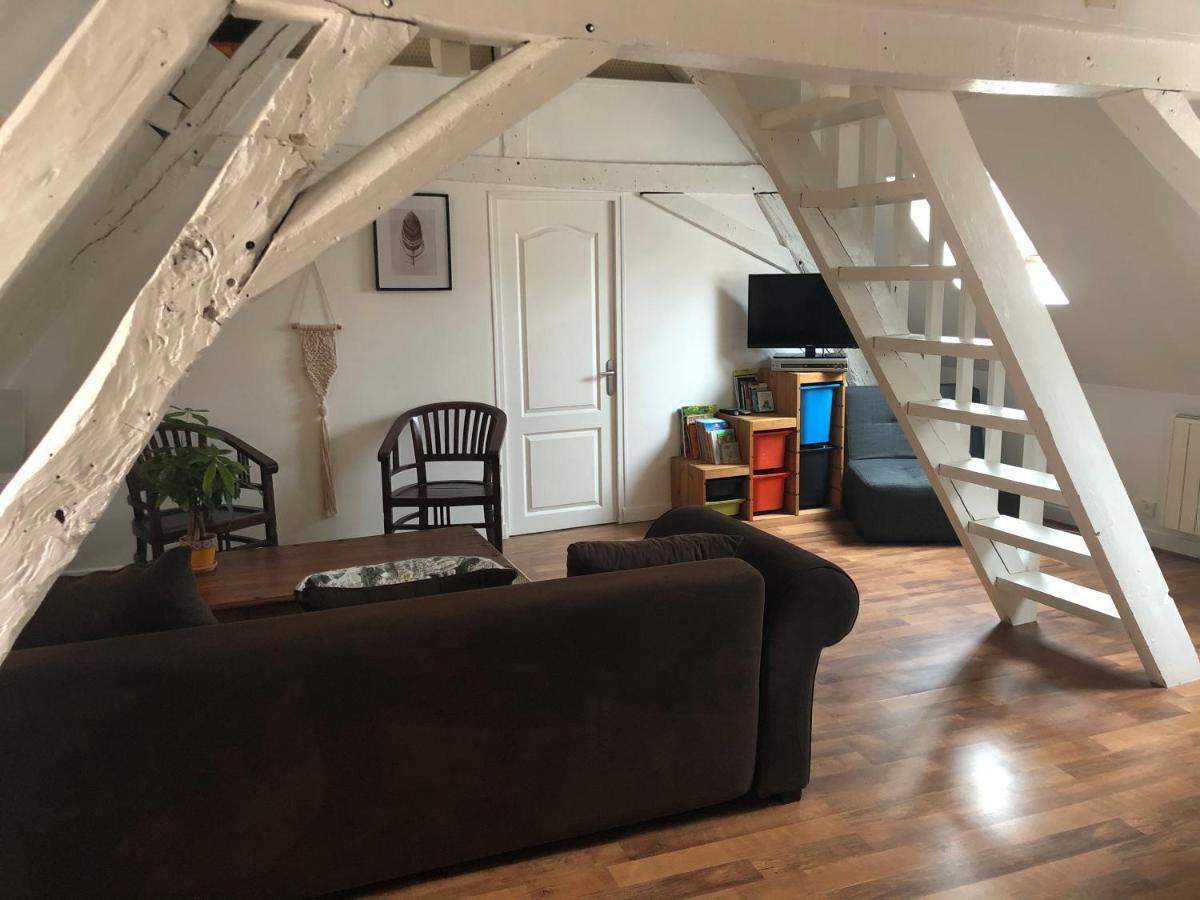 Le Grand Appartement - 90M2- 2 Chb , 1 Mezzanine - 6Pers Romorantin-Lanthenay Екстериор снимка