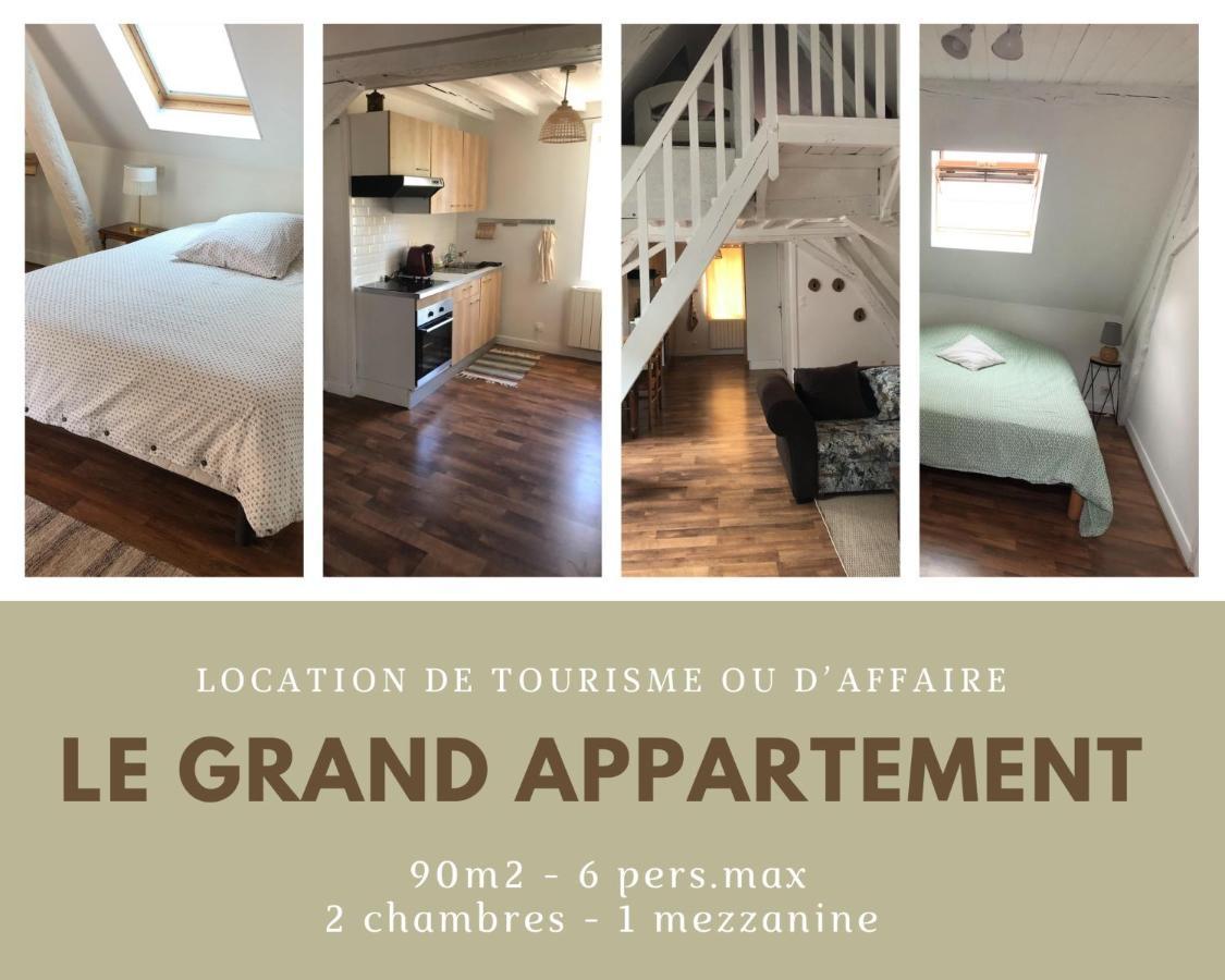 Le Grand Appartement - 90M2- 2 Chb , 1 Mezzanine - 6Pers Romorantin-Lanthenay Екстериор снимка